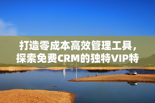 打造零成本高效管理工具，探索免费CRM的独特VIP特色