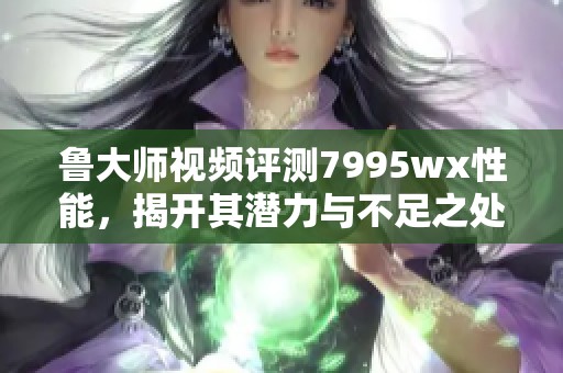 鲁大师视频评测7995wx性能，揭开其潜力与不足之处