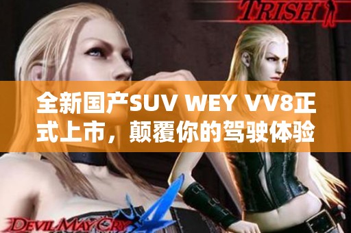 全新国产SUV WEY VV8正式上市，颠覆你的驾驶体验