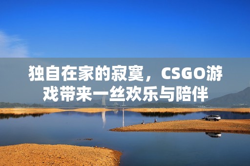 独自在家的寂寞，CSGO游戏带来一丝欢乐与陪伴