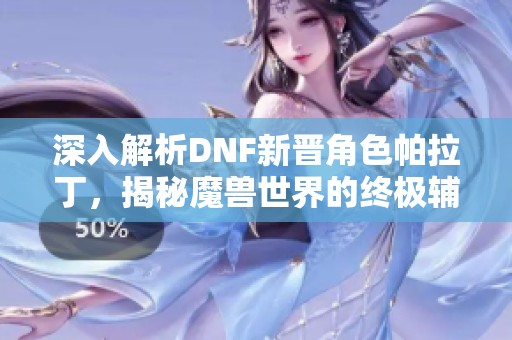 深入解析DNF新晋角色帕拉丁，揭秘魔兽世界的终极辅助力量