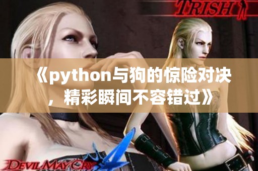 《python与狗的惊险对决，精彩瞬间不容错过》