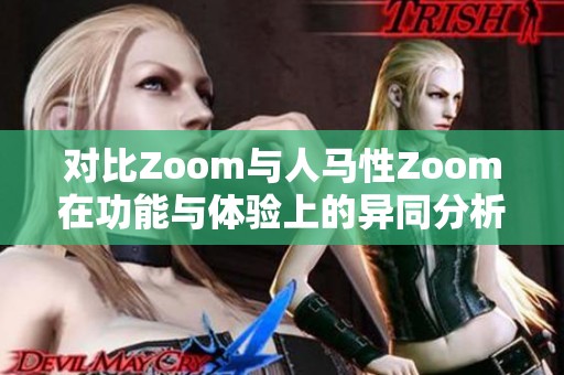 对比Zoom与人马性Zoom在功能与体验上的异同分析