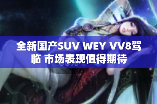 全新国产SUV WEY VV8驾临 市场表现值得期待