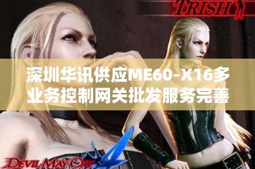 深圳华讯供应ME60-X16多业务控制网关批发服务完善