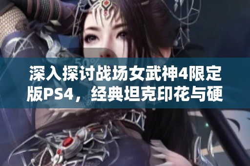 深入探讨战场女武神4限定版PS4，经典坦克印花与硬核浪漫的完美结合