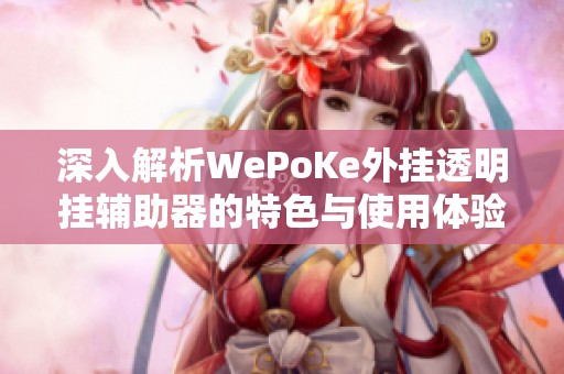 深入解析WePoKe外挂透明挂辅助器的特色与使用体验