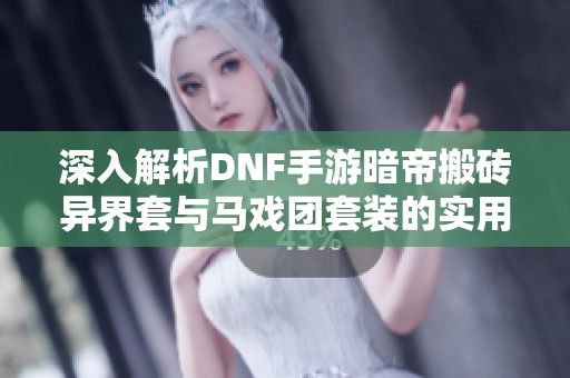 深入解析DNF手游暗帝搬砖异界套与马戏团套装的实用攻略