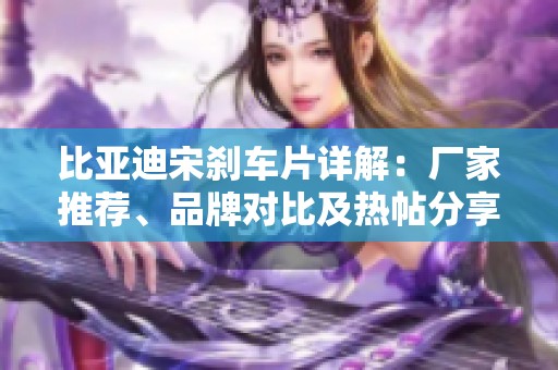 比亚迪宋刹车片详解：厂家推荐、品牌对比及热帖分享