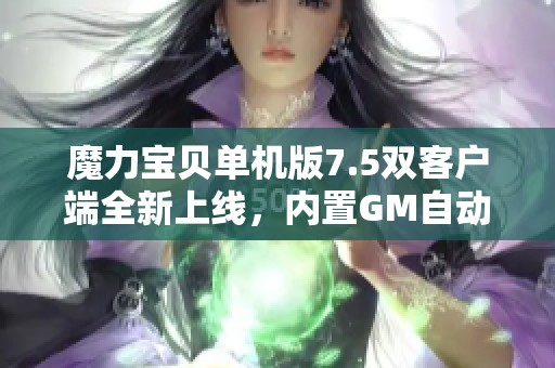 魔力宝贝单机版7.5双客户端全新上线，内置GM自动战斗佣兵功能解析